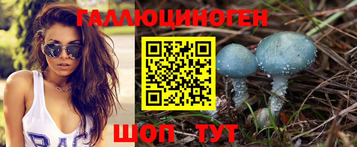 Галлюциногенные грибы MAGIC MUSHROOMS  Вход с VPN  Гудермес 